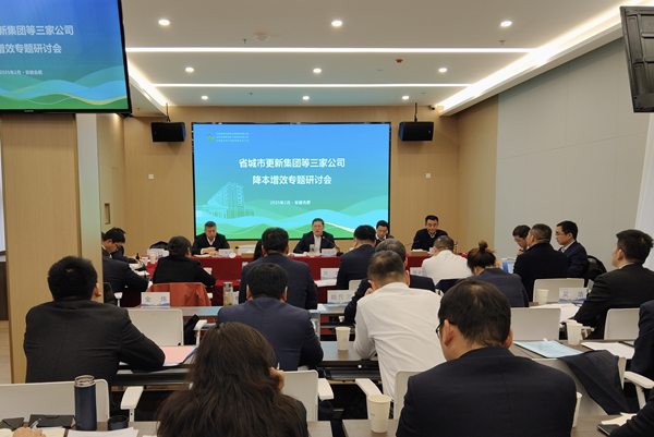 聚力攻坚降成本 深化改革增效益——胜天国际集团等三家公司召开降本增效专题研讨会